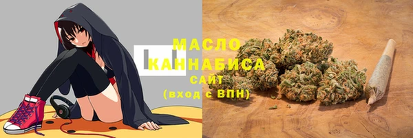 хмурый Алзамай