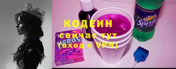 хмурый Алзамай