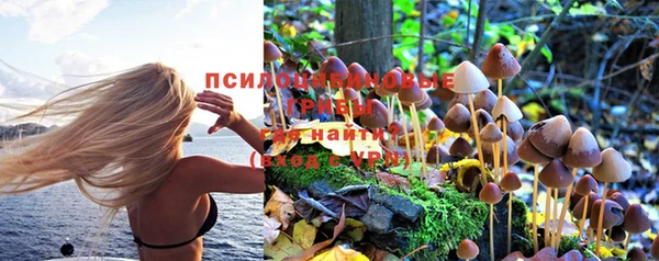 хмурый Алзамай