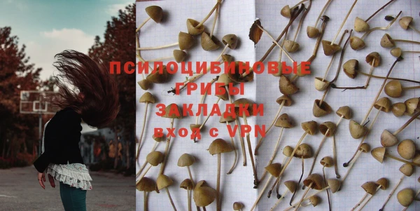 метадон Алексин