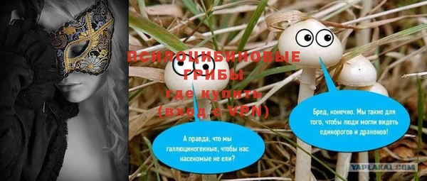 метадон Алексин