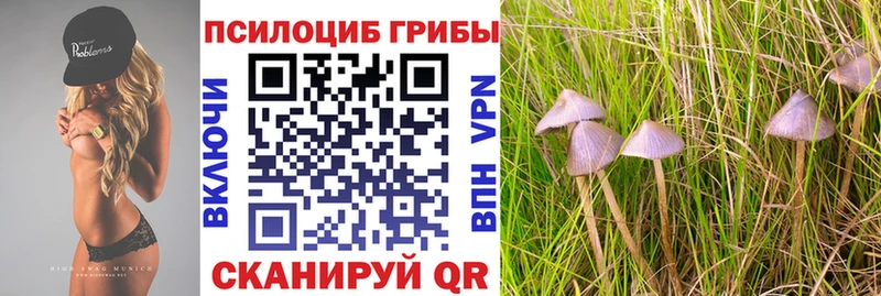 Галлюциногенные грибы мухоморы  купить наркотик  Нижнеудинск 