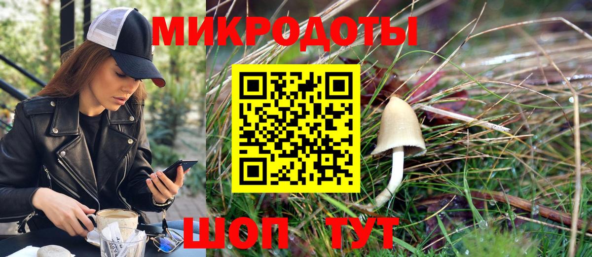 Псилоцибиновые грибы мухоморы Нижнеудинск