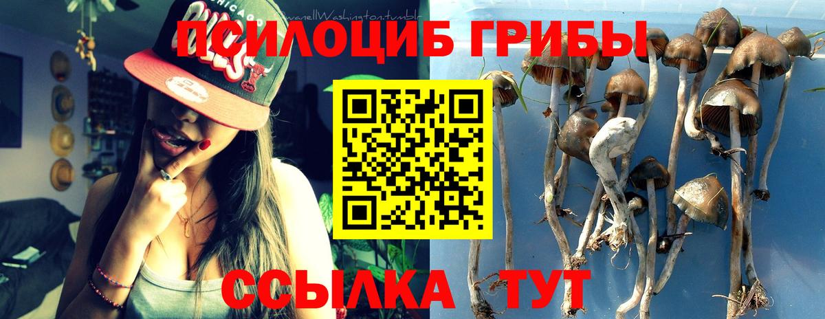 Галлюциногенные грибы GOLDEN TEACHER  Вход с VPN  Нижнеудинск  Псилоцибиновые грибы MAGIC MUSHROOMS 